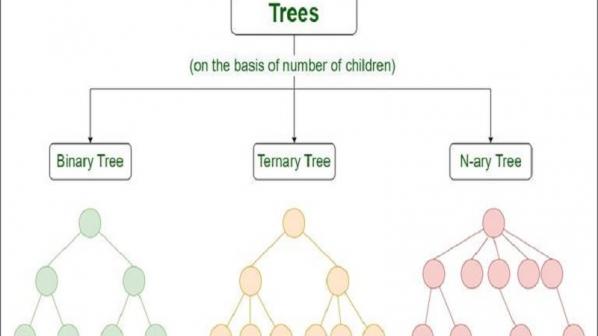درخت در ساختمان داده‌ها چیست و چگونه پیمایش می‌شود؟