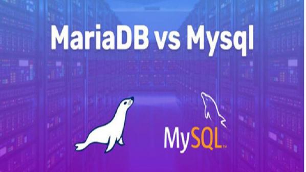 MySQL چیست و چه تفاوتی با MariaDB دارد؟