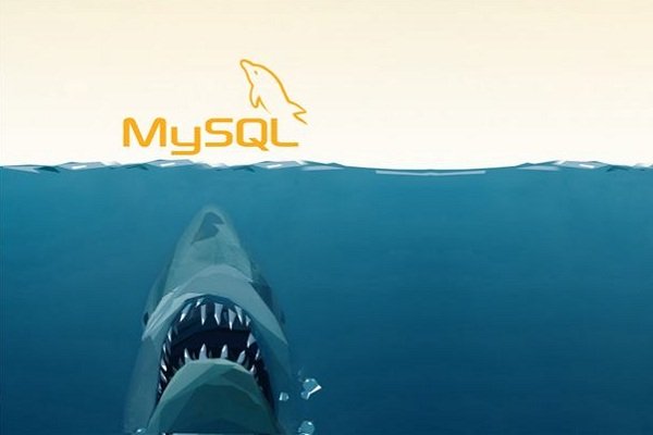 10 ابزار ضروری برای مدیران سرورهای MySQL