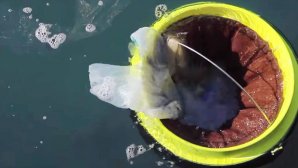 تماشا کنید: سطل آشغال شناور دریایی