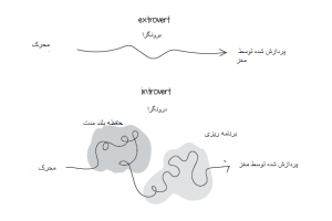 ۶ تصویر که نشان می‌دهند در مغز یک فرد درونگرا چه می‌گذرد