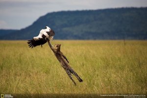 گالری عکس: با مسابقه عکاس مسافرتی Nat Geo 2018 به‌عجیب‌ترین جزایر دنیا سفر کنید