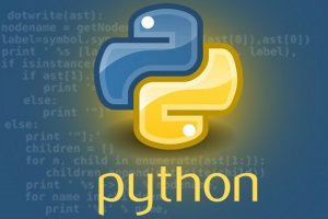 آیا می‌توان ظرف یک ماه زبان برنامه نویسی پایتون را یاد گرفت؟