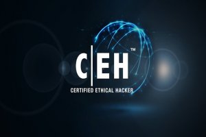 آموزش CEH (هکر کلاه سفید): آشنایی با فرمول‌های ارزیابی خسارات وارد شده بر اثر یک حمله هکری