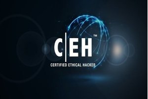 آموزش CEH (هکر کلاه سفید): سرشماری و هک کردن سامانه‌ها